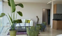Penthouse Humboldt 3