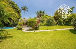 Casa Aviva New